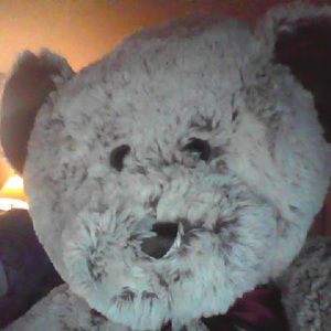 Meet your Posher, Avery